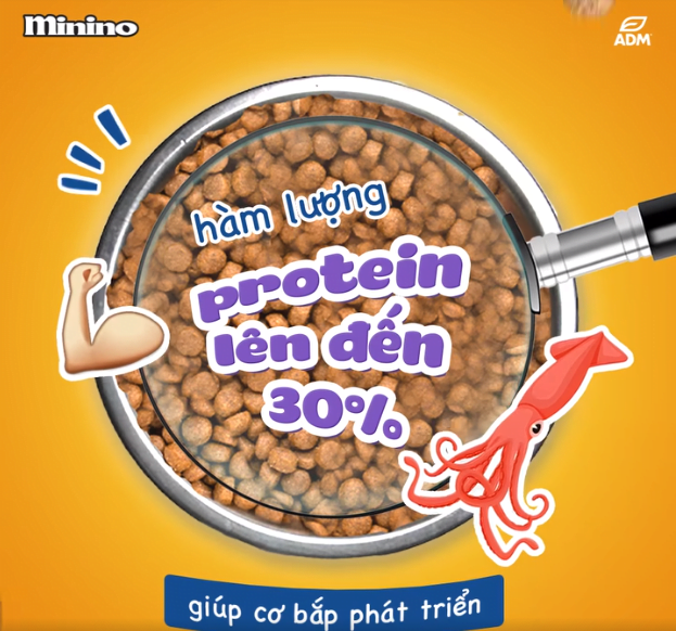 Screenshot 2024-06-29 115550